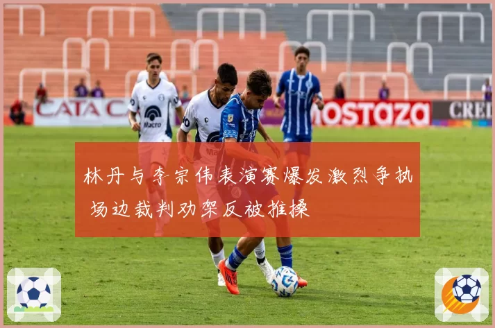 林丹与李宗伟表演赛爆发激烈争执 场边裁判劝架反被推搡