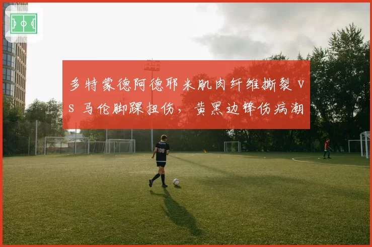多特蒙德阿德耶米肌肉纤维撕裂 vs 马伦脚踝扭伤,黄黑边锋伤病潮对比