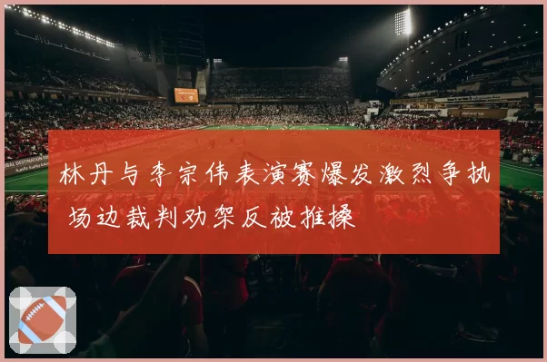 林丹与李宗伟表演赛爆发激烈争执 场边裁判劝架反被推搡