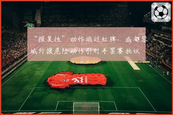“报复性”动作逃过红牌,成都蓉城外援危险动作引对手罢赛抗议