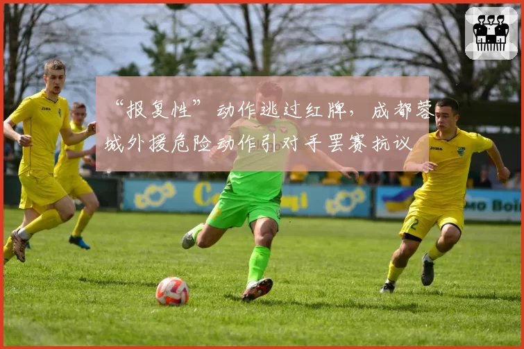 “报复性”动作逃过红牌,成都蓉城外援危险动作引对手罢赛抗议